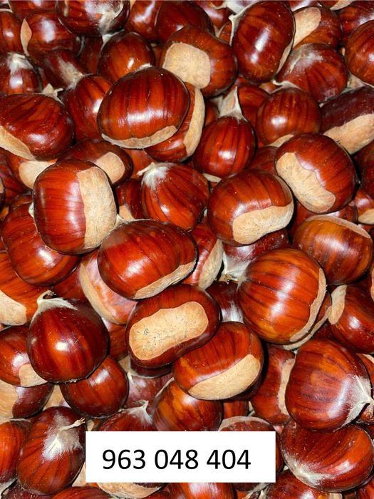 Castanhas Amarelal para venda