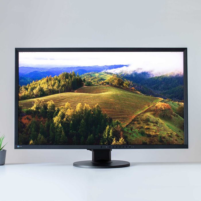 Monitor profissional EIZO EV3237 IPS W-LED 32" 4K UHD 16:9 60Hz