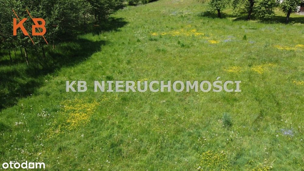 Działka w Świerklanach na sprzedaż