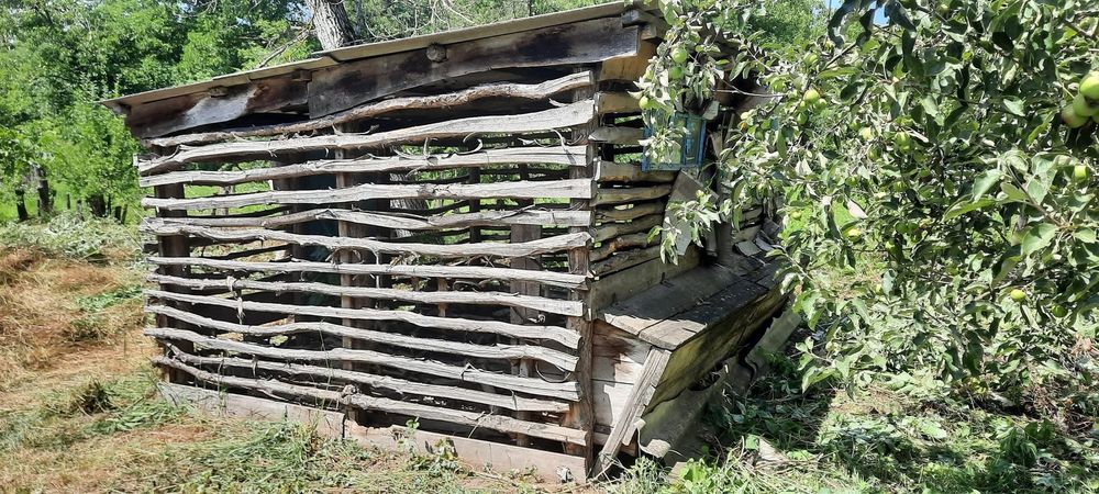 Дача с.Рогізна (Камʼянець-Подільський район, Хмельницька область)