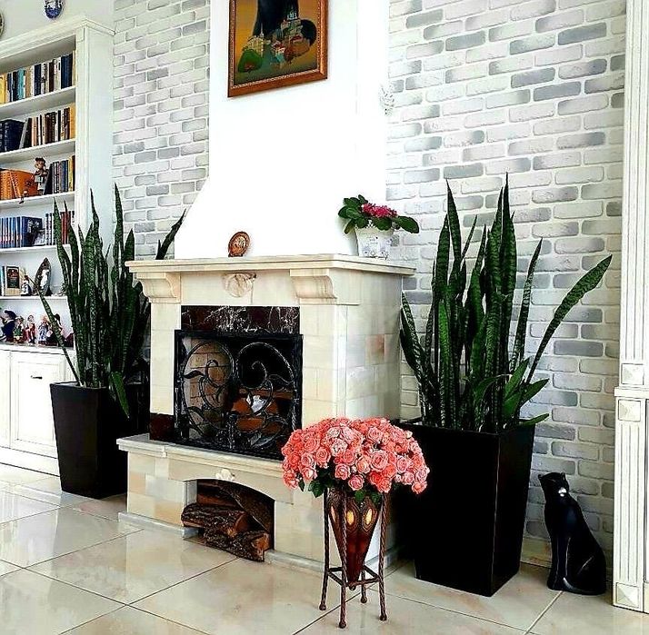 Світлий та в гарному місці будинок Дахнівка