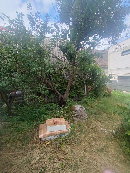 Будиночок Дача Продаж