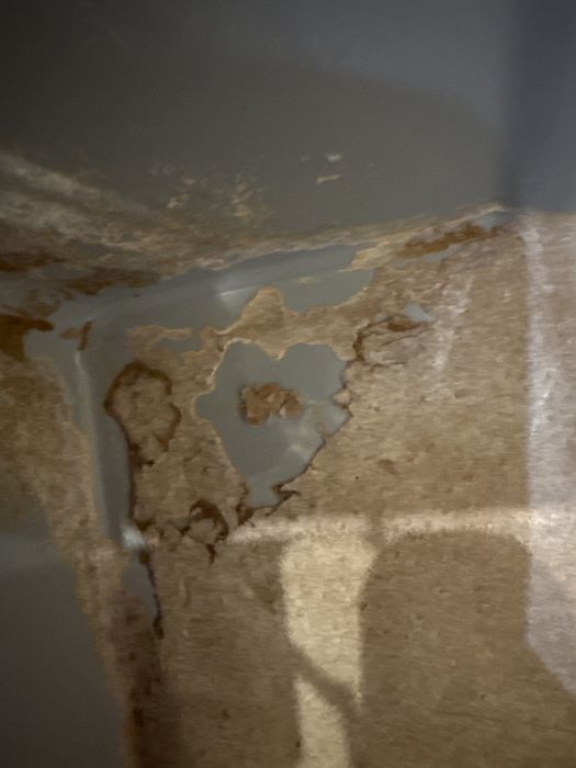 Gaiola coelho e outros roedores