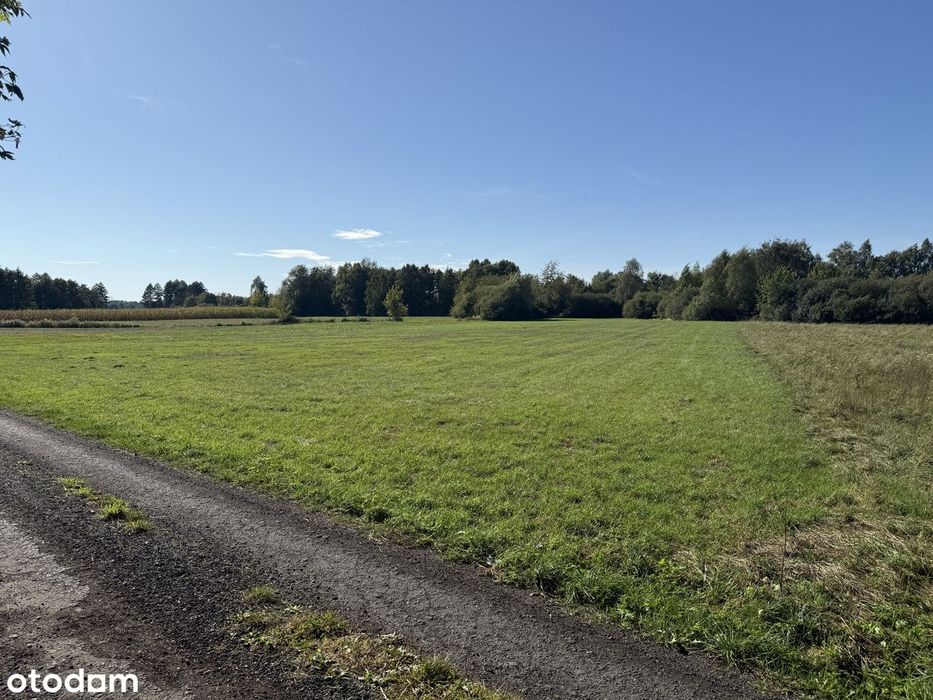 Działka inwestycyjna 7730 m² media,sąsiedztwie CPK– kup dziś 110 zł/m²