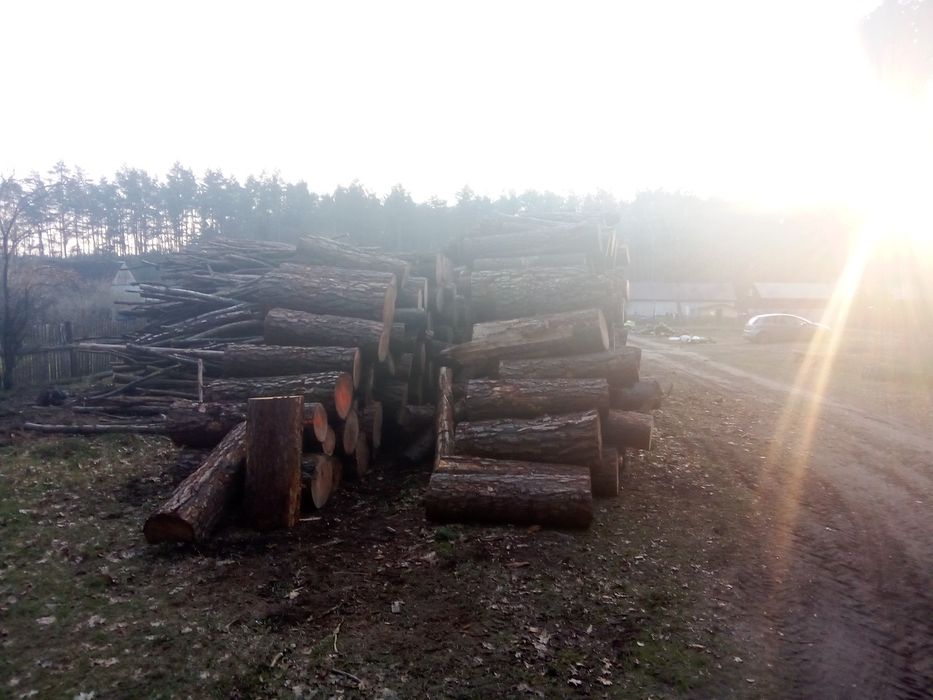 Drewno kominkowo-opałowe