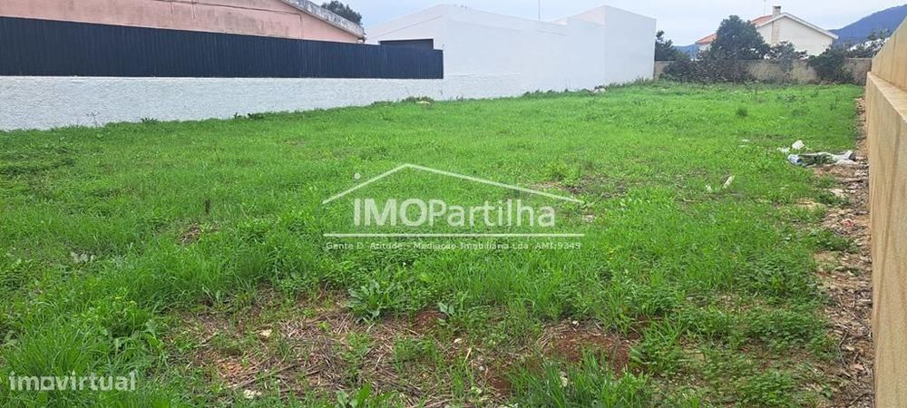 Terreno
Abrunheira