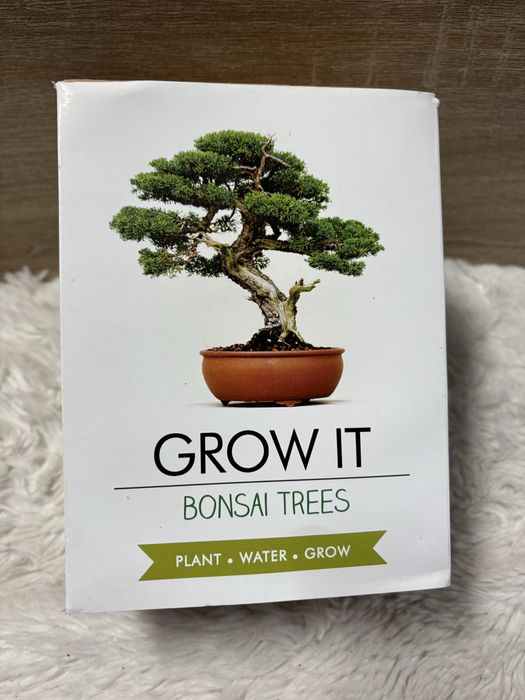 zestaw do uprawy własnych drzewek bonsai w domu