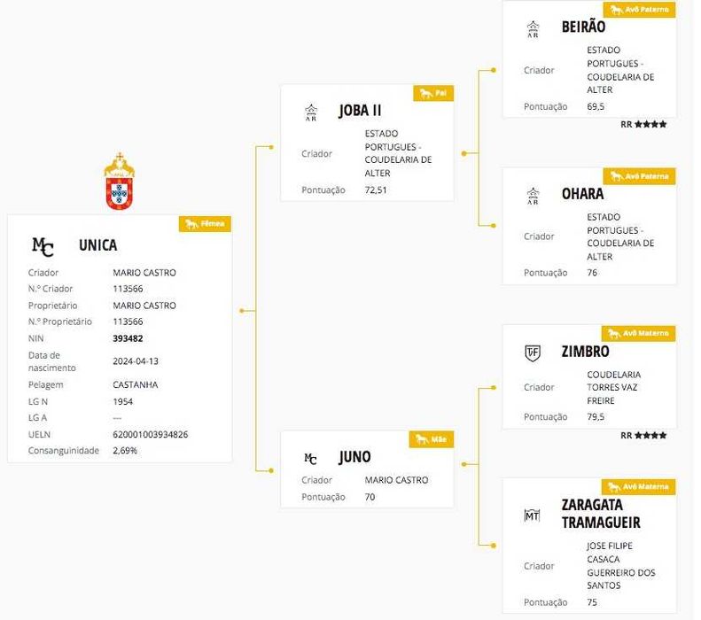 Única - Poldra Puro Sangue Lusitana com 1 Ano - Excelentes Linhas
