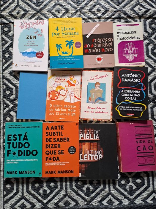 Lote varios livros  clasicos e saude etc
