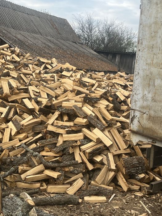 Дрова дуб акація береза віль