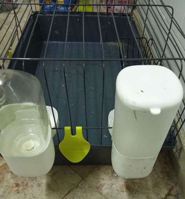 Gaiola para porquinhos da Índia,coelhos etc