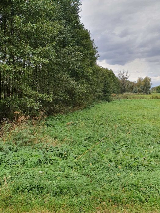 Malownicza działka 600 m² z dostępem do rzeki – Bruliny Nasielsk - Widok 2