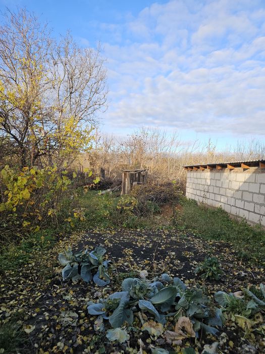 Продам пол-дома,в с. Борки, за Мерефой, статус квартиры