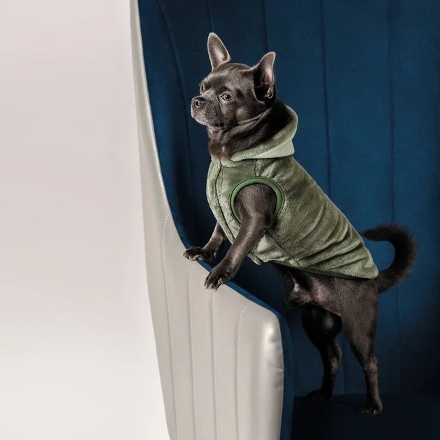 Жилет для собак Pet Fashion "LOUIS" M