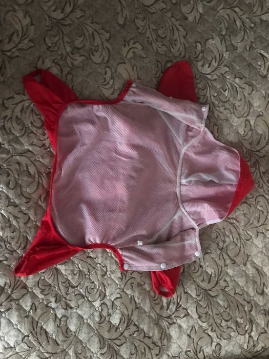 Дощовик для маленької собачки.