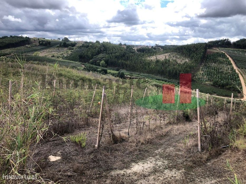 Terreno Rústico com Viabilidade para Armazém Caldas Rainha***RIOMAG...