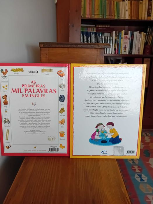 Livro Dicionário Inglês