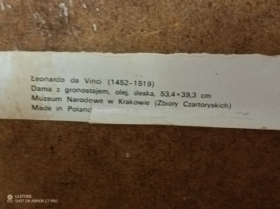 Obraz "Dama z gronostajem". W ładnej ramie.