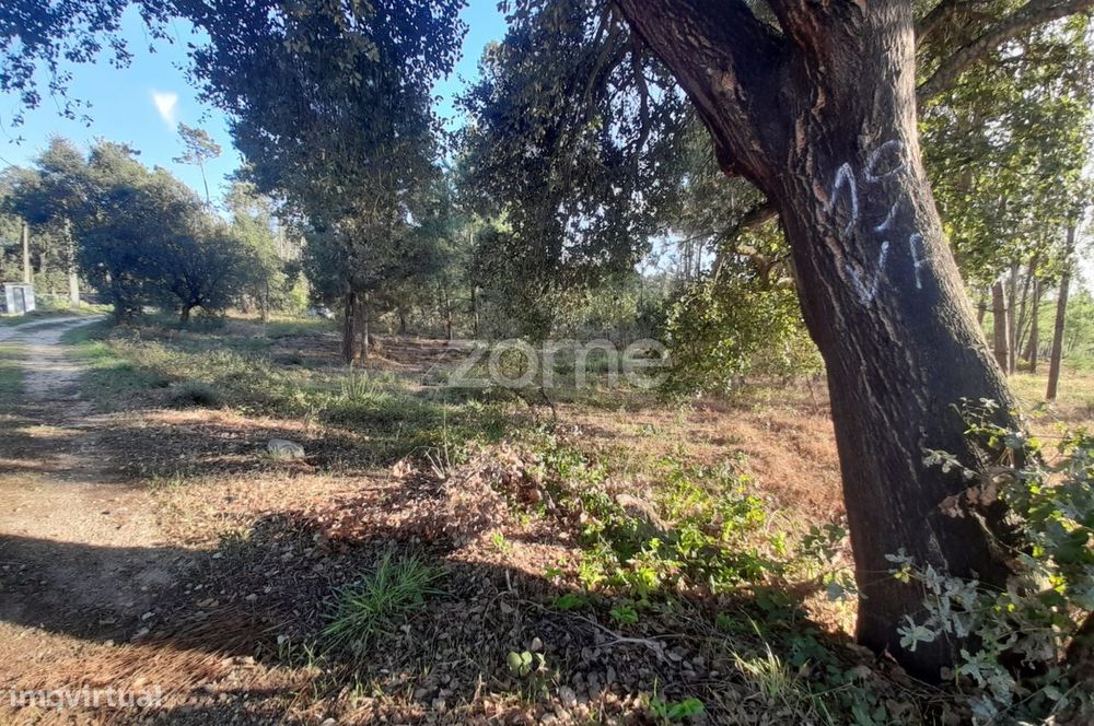 Terreno Rustico