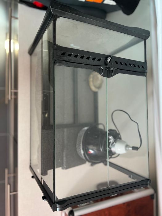 Akwarium dla rybek, gadów z asortymentem