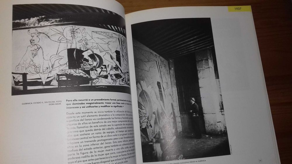Conjunto de 2 livros Picasso Guernica