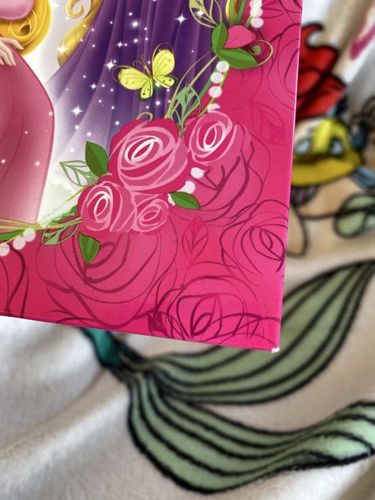 Segregator, disney, księżniczki