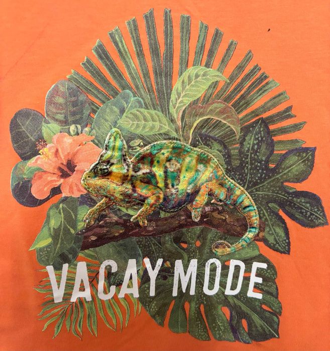 koszulka i spdenki HM projektanci Angela Mckay, Nathalie Lete  98 104