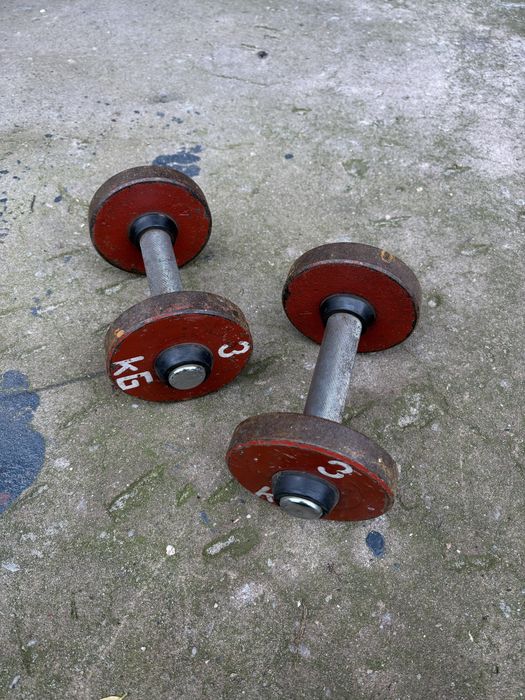 Hantle Stalowe 2x3kg Siłownia