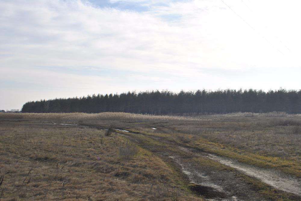 Земельна ділянка с. Піщанка Нов-кий р-н вул. Чкалова 19 сот 5500 $