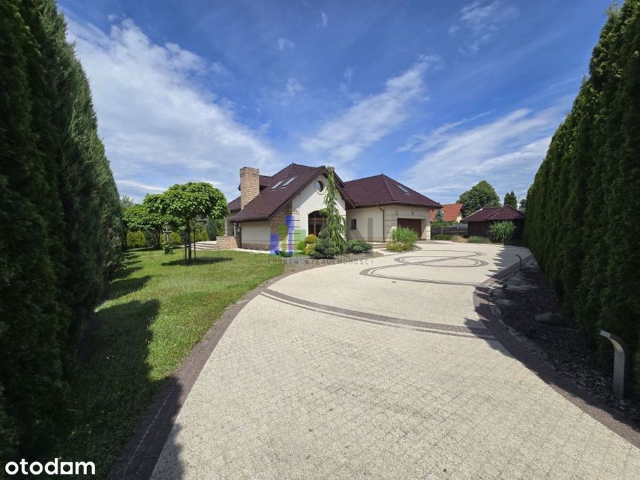 Komfortowy, Dostępny Od Zaraz