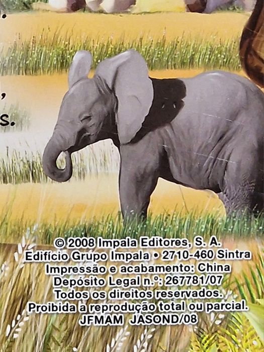 O Elefante . Novo