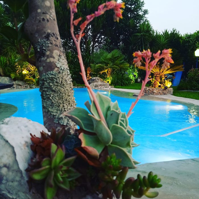 Quinta da Bornaria