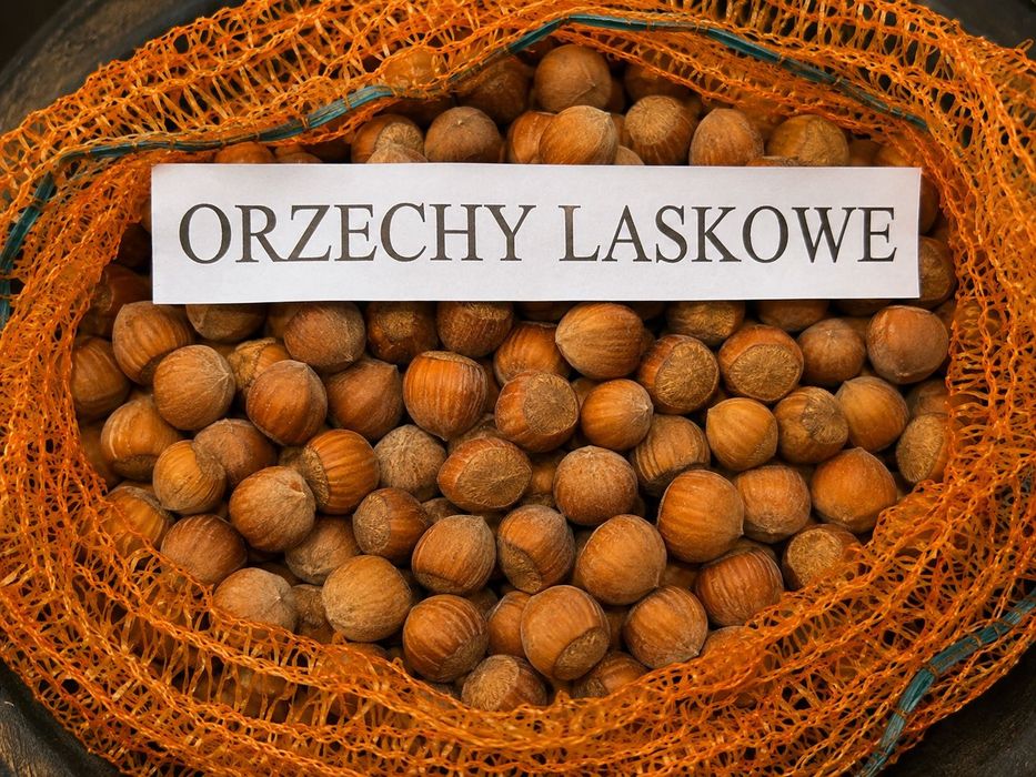Orzechy laskowe – świeże i smaczne
