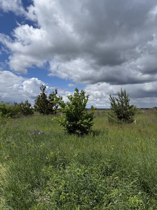 Земельна ділянка, С. Нові-Петрівці (масив молодіжнмй), 6сот. під забудову. - View 6