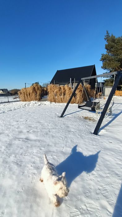 Domek na wynajem, jezioro Łebsko! Izbicki Zakątek