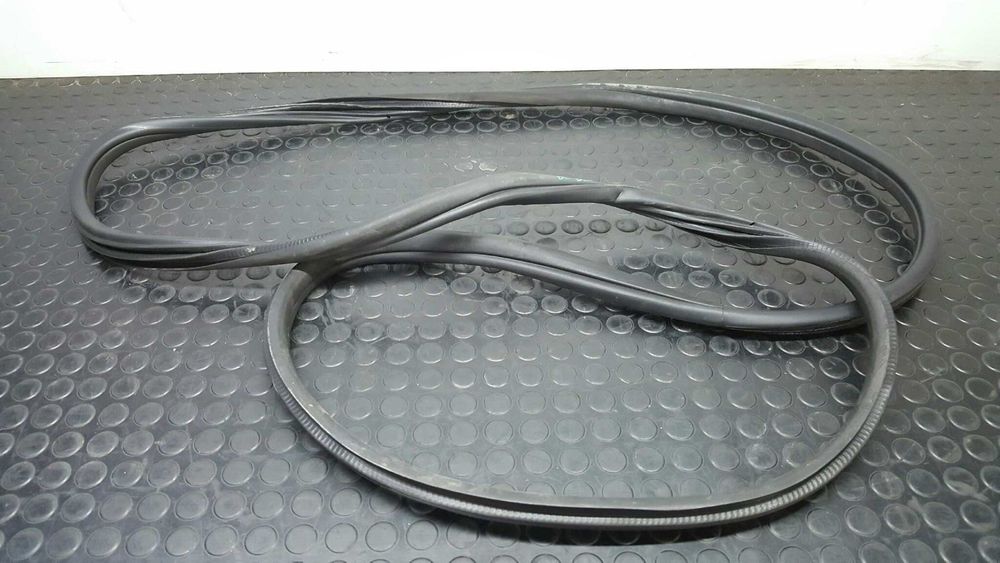 BORRACHAS PORTA BMW X6 (E71) XDRIVE40D