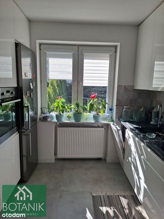 Zadbany bliźniak