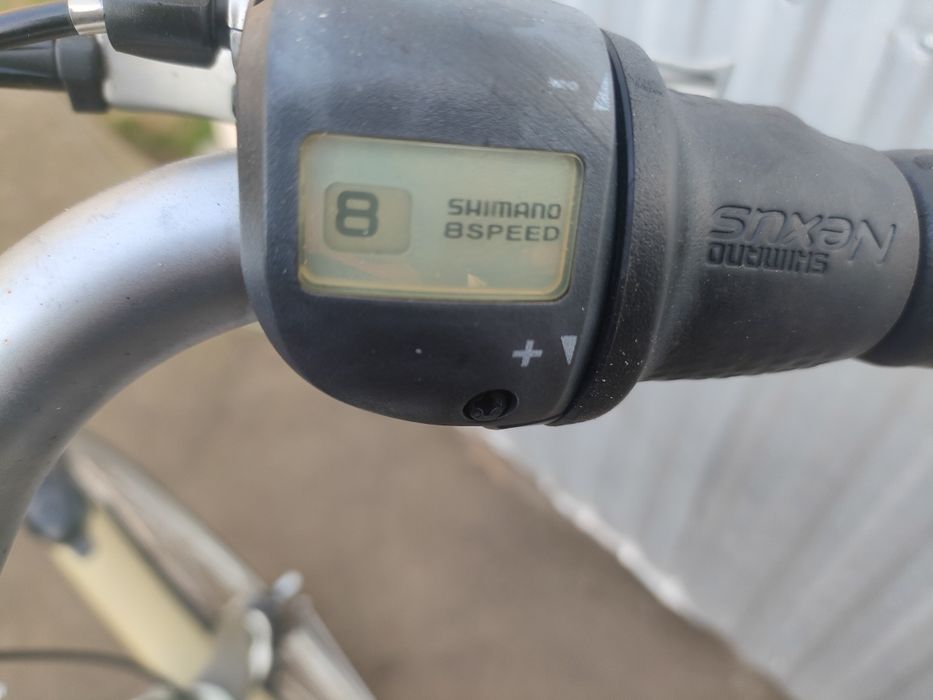 Rower męski Gazelle Cadiz