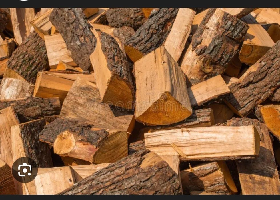 Venho lanha de pinho seca