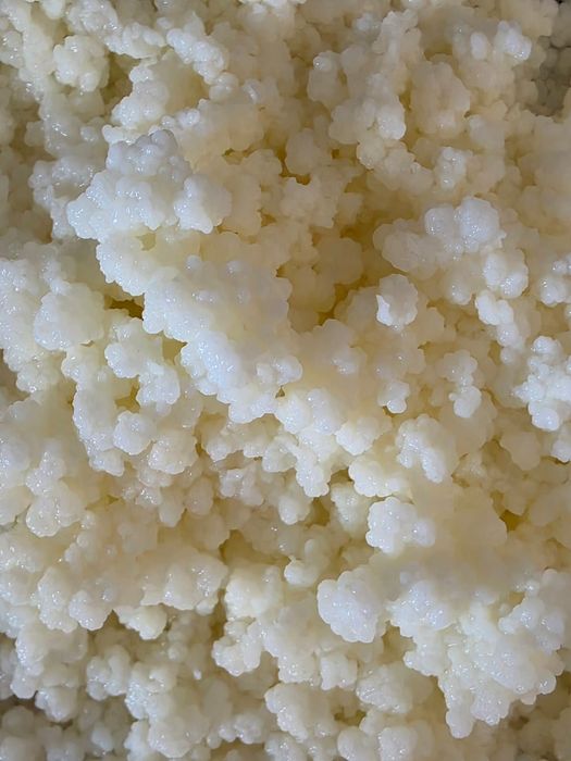 Kefir de leite saudavel.