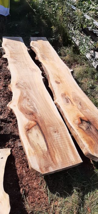 Wiąz deski wiązu bale brusy