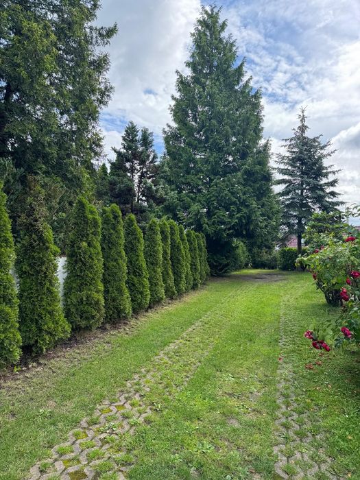 Domek na Kaszubach Lemany Gowidlino