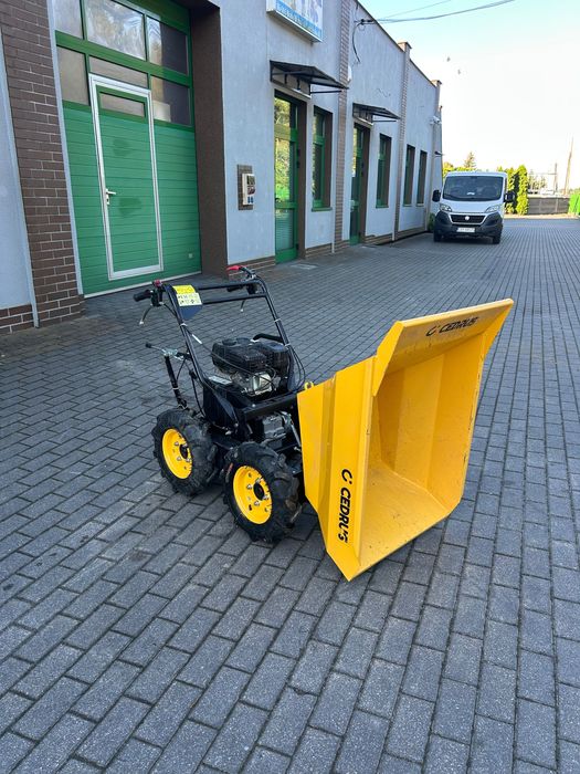 Wynajem Taczka spalinowa Cedrus