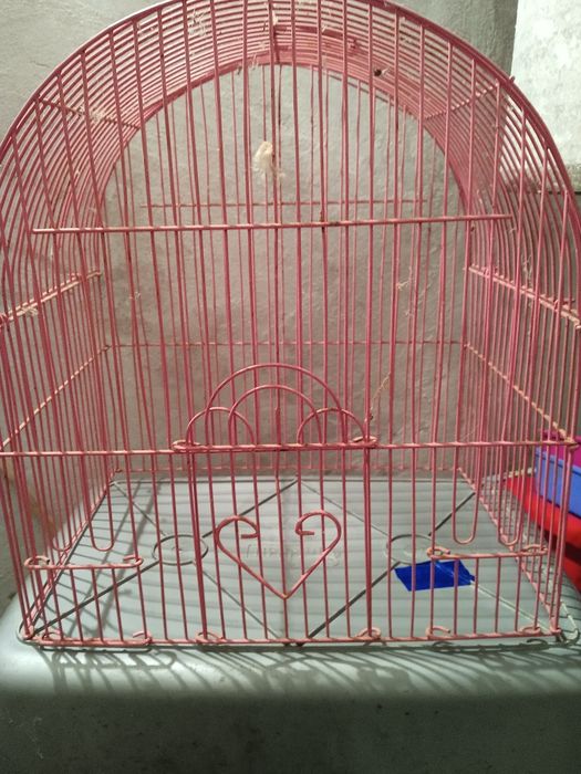 Клетка для животных, все три фото за 200грн