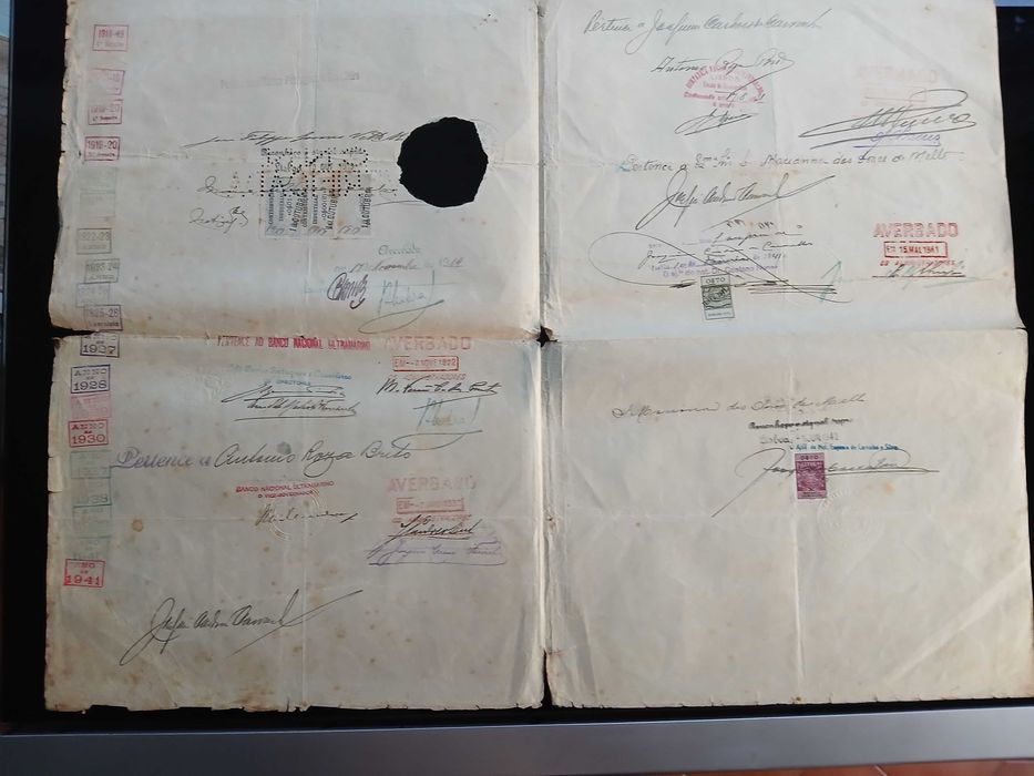 Acções da Companhia Nacional de Navegação - 1918 / 1926