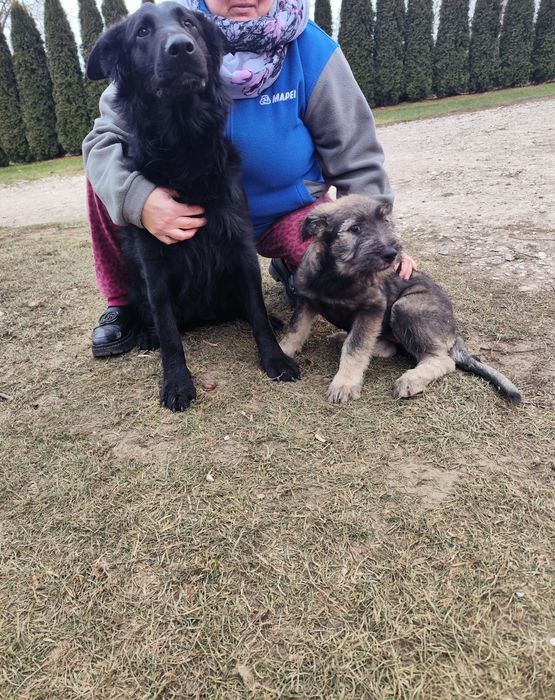 Szukamy najlepszego domu pod Słońcem