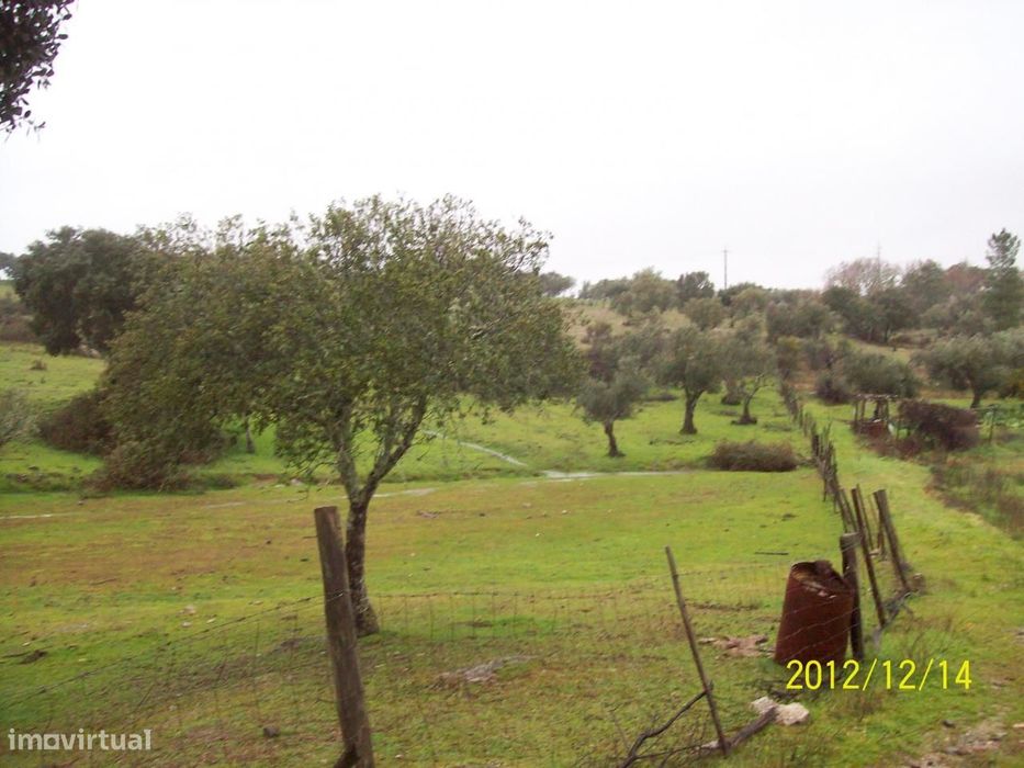 Herdade do Monte da Pedra.
