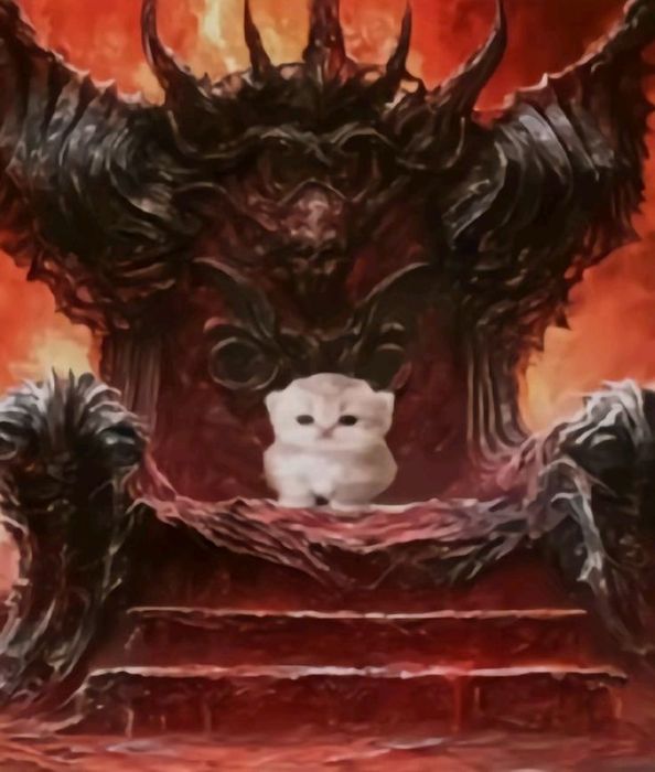 Котик дуже гарний