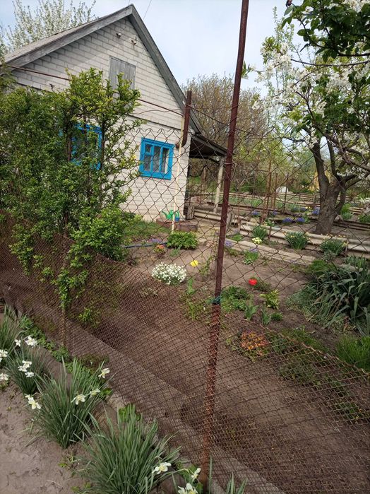 Продаю земельну ділянку/сад з будинком та сарай