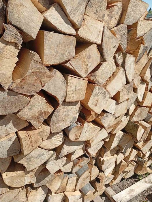 Продаю дрова різних порід бук,граб